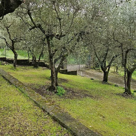 Villa Panoramica Con Jacuzzi Privata Tra Firenze & Lucca ,3 Camere, 4 Bagni Villa