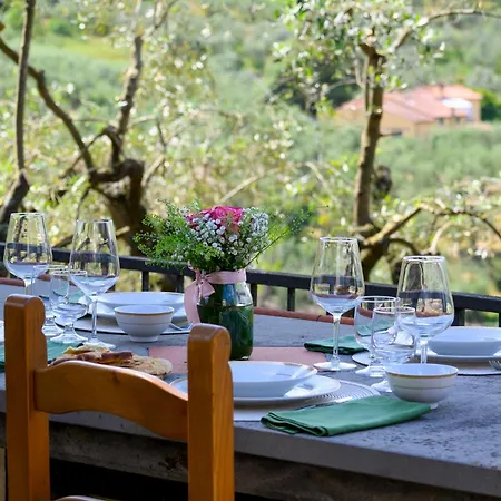 Panoramica Con Jacuzzi Privata Tra Firenze & Lucca ,3 Camere, 4 Bagni Villa